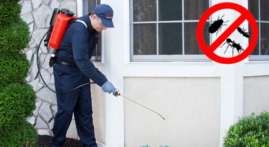 Çubuk Kene İlaçlama böcek ilaçlama ve haşere kontrolü — ilaclama-tr.com